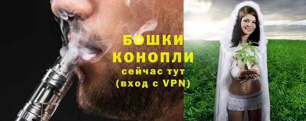 PSILOCYBIN Волосово